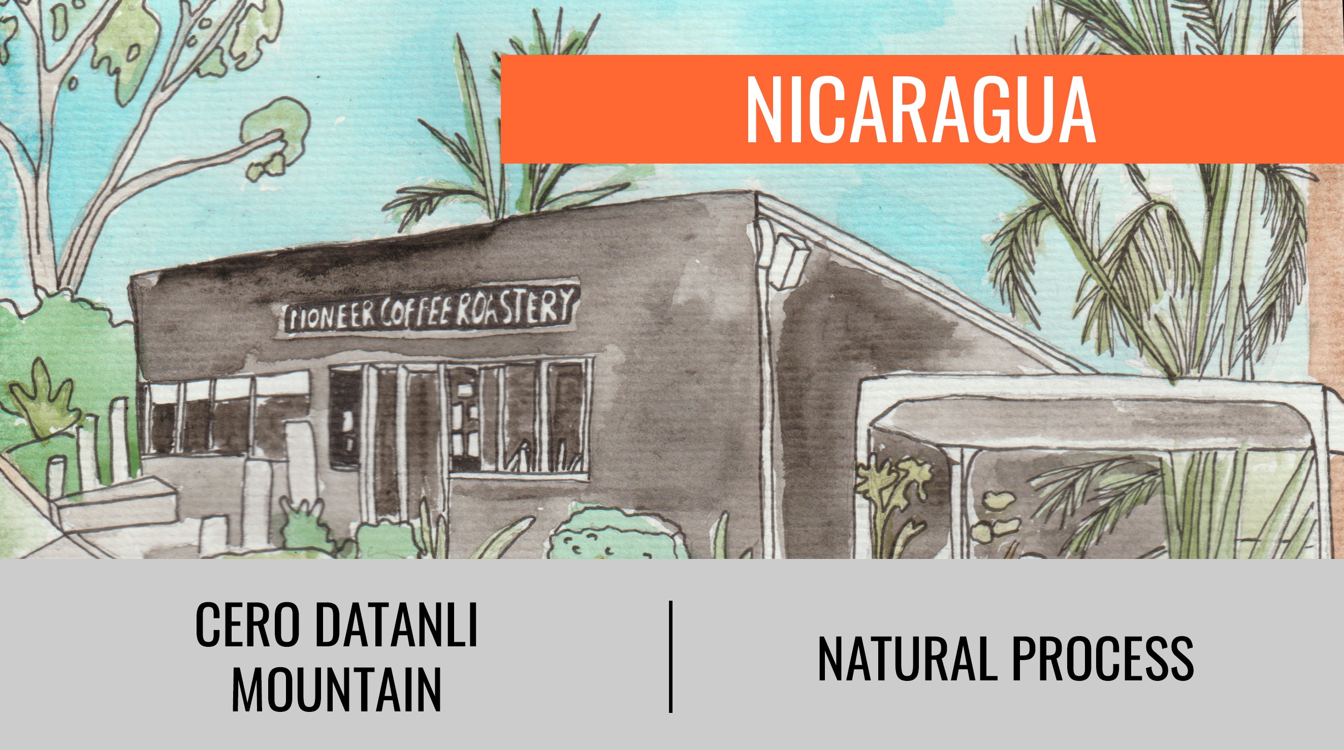 NICARAGUA - CERO DATANLI WASHED