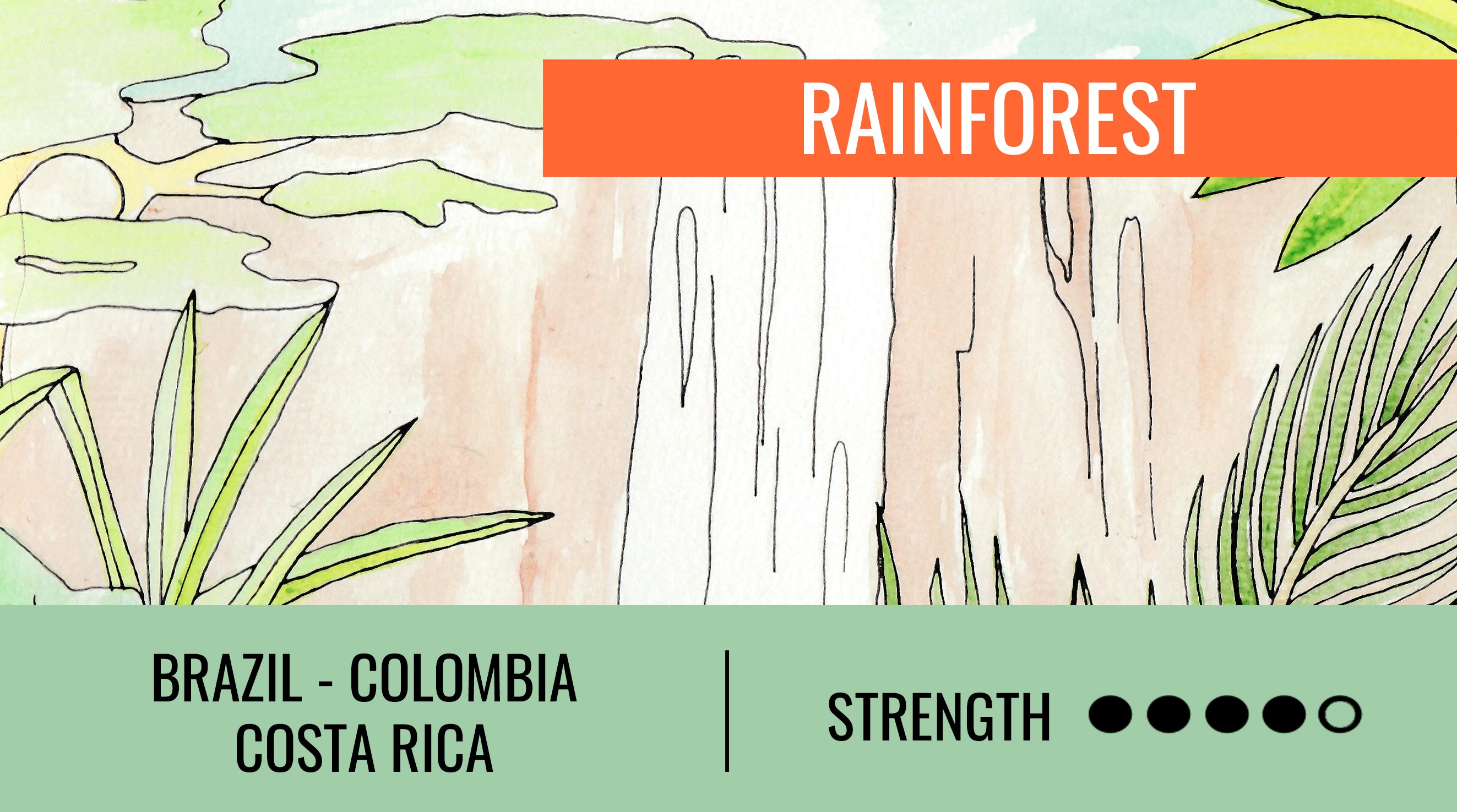 RAINFOREST BLEND