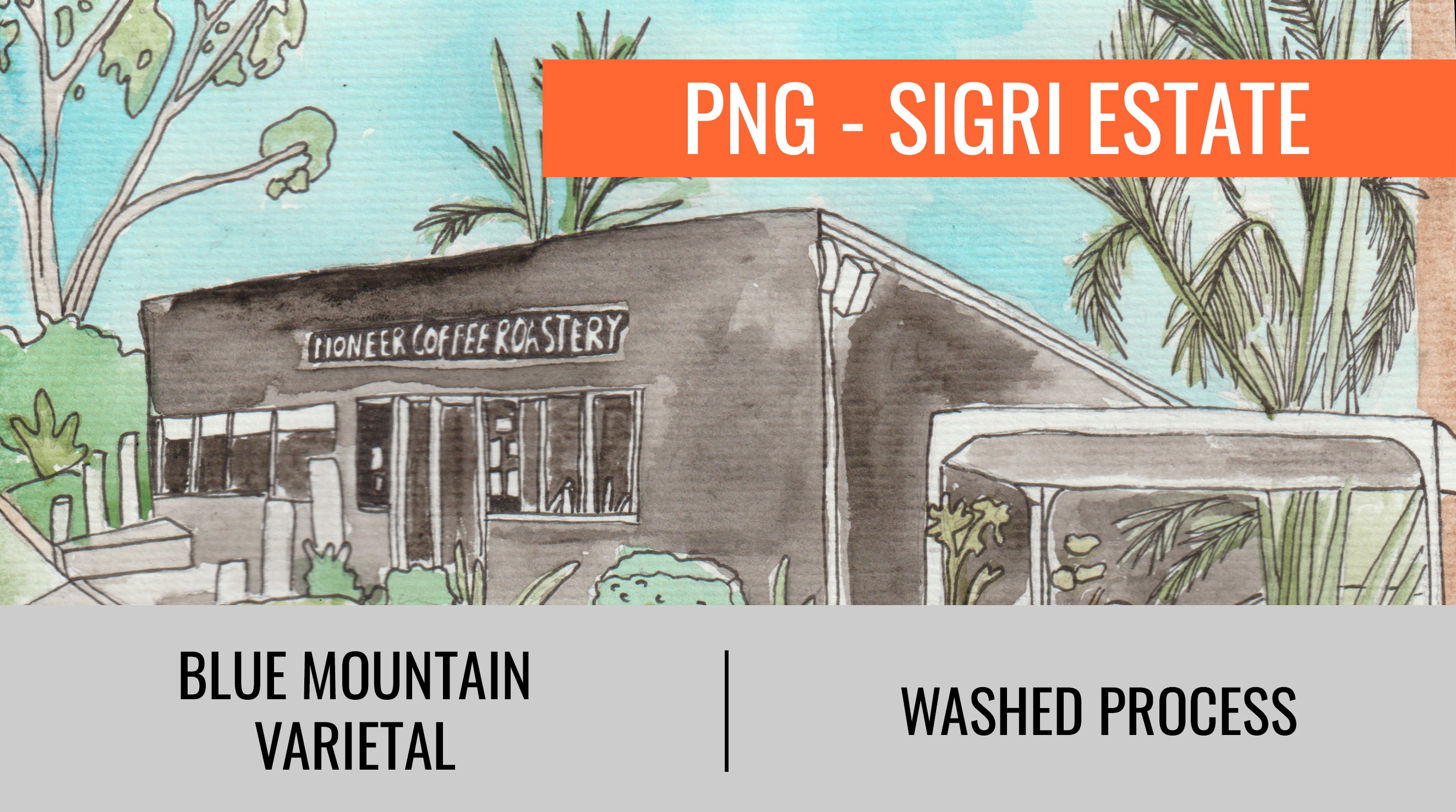 PAPUA NEW GUINEA - SIGRI